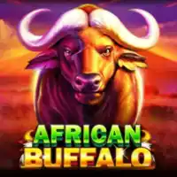 AFRICAN BUFFALO